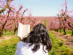 7 új olvasmány, ami feldobja a tavaszi napokat